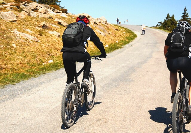 MTB-cykelryttere cykler op ad stejl bakke i Harzen